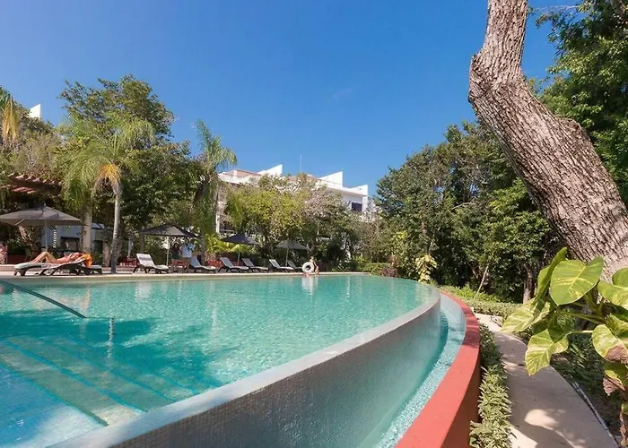 Tropical Escape Apartment *