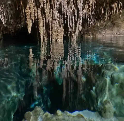 Tropical Escape