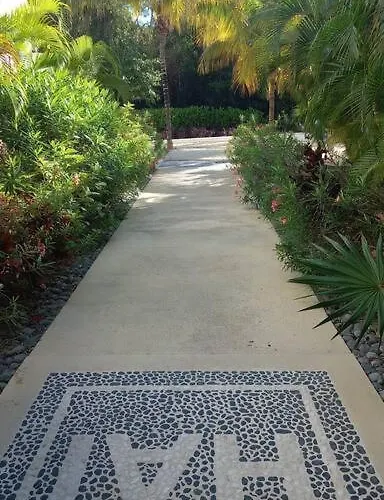 Tropical Escape * Akumal