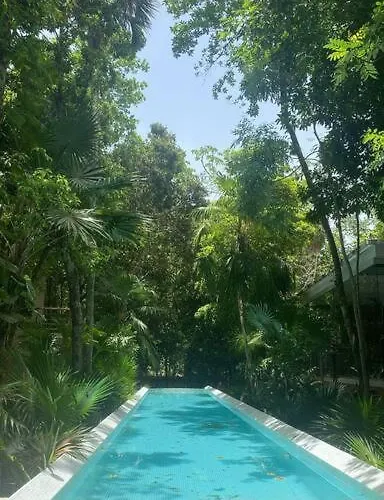 Apartment Tropical Escape