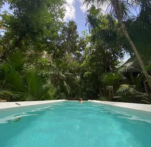Tropical Escape Apartment